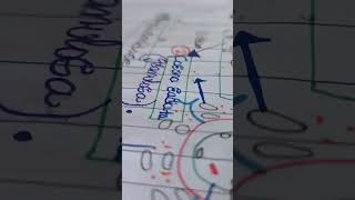 Acrosomal reaction funny achievement subscribe achievementjourney [upl. by Retsehc]