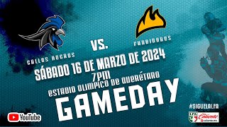 Gallos Negros de Querétaro vs Fundidores de Monterrey  Semana 3 Temporada 2024 [upl. by Lauritz]