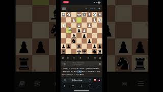 chess chessman chessgrandmaster magnuscarlsen viral shortsviral [upl. by Yleek]