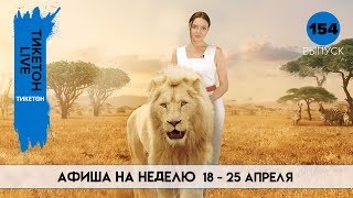 Балуан Шолак и Миа и белый лев  Тикетон Live 154 [upl. by Eentirb]