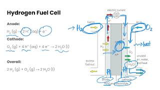 Fuel Cells  Energy from Fuels [upl. by Gilberta]