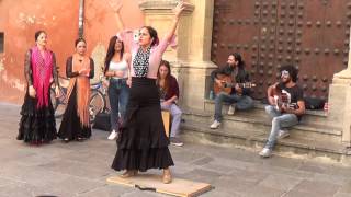 Flamenco dance 1 in Granada 2015 [upl. by Ennahtebazile]