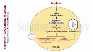 Topic 44 Antiviral Drugs  Acyclovir  Mechanism of Action  Acyclovir Mechanism of Action  Virus [upl. by Zetes]