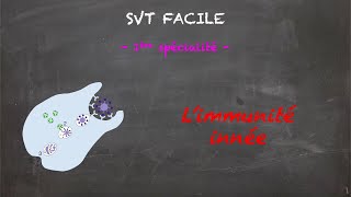 SVT FACILE  1ère spé  Limmunité innée [upl. by Ahsoik]