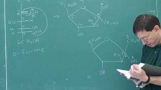 Organic chemistry Carbohydrates 4 [upl. by Aloz351]