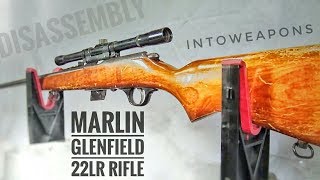 Marlin Glenfield Mod 20 Disassembly [upl. by Hurley]