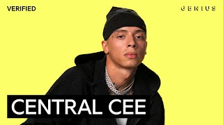 Central Cee “Dojaquot Official Lyrics amp Meaning  Verified [upl. by Eissed476]