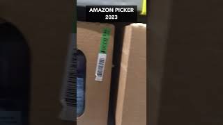 Amazon Warehouse Picker Job 2023  Expert Efficiency Tip [upl. by Nanine]