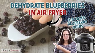 Dehydrate Blueberries In The Air Fryer Ninja Foodi Method [upl. by Aibar]