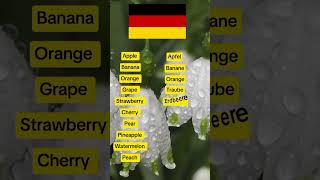 Translate these words in German german germany germanlanguage  shorts [upl. by Auqinot]