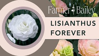 Learn to Grow Lisianthus with Farmer Bailey [upl. by Groome]