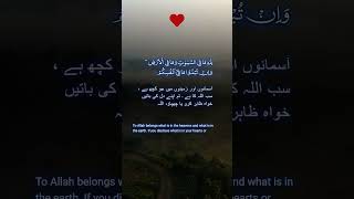 Memorize Surah AlBaqarah Aya 284  سورہ البقرہ shorts quran uk pakistan india usa [upl. by Wyne]