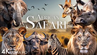 African Safari 4K  Amazing Wildlife of African Savanna  Scenic Relaxation Film [upl. by Ahsropal]