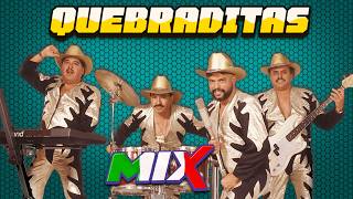 Quebradita Mix De Los 90s  Quebradita 90s Megamix  Quebraditas De Los 90 Mix Exitos [upl. by Nuajed]