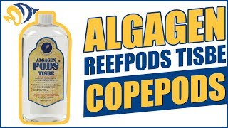 How to Introduce Copepods into your Reef Aquarium [upl. by Frazier890]