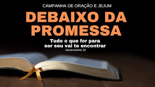 PROMESSAS DE DEUS [upl. by Dionis]