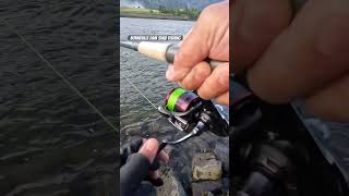 Bonneville Dam Shad Fishing [upl. by Abekam311]