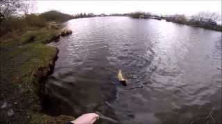 Lure Fishing for Pike UK IMA Komomo 2 90 Sardine GoPro 3 [upl. by Constantina876]