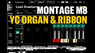 Montage m Ribbon Controller amp drawbars for YC organs [upl. by Amelina]