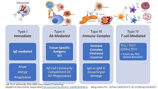 Hypersensitivity Types I to IV in less than 2 minutes [upl. by Milas]