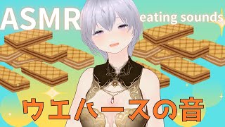 【ASMR】さくさくウエハース食べる音【咀嚼音Eating SoundsNo Talking】 [upl. by Turner]