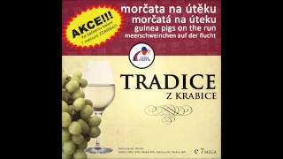 Morčata na útěku  Hanácká Tradice z krabice 2013 [upl. by Darleen]