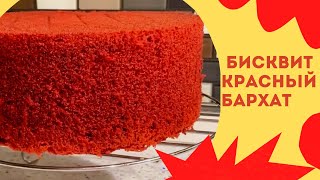 Самый лучший рецепт Красного Бархата Он станет вашим любимым [upl. by Malchus]