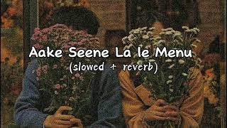 Aake Seene La le Menu slowed reverb sad song 😩🥺💔💔🥺😔 [upl. by Abram378]