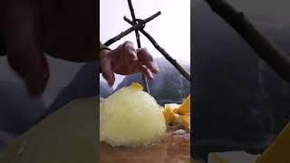 Two frozen ostrich eggs meet fire for the hanging bowl omelette firekitchen outdoorcooking 🔥🍳 [upl. by Aninat]