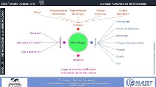 CLASIFICACIÓN ARANCELARIA [upl. by Aihsatan]