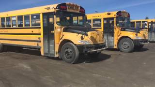 School Buses In Thornhill Ontario [upl. by Sudhir]