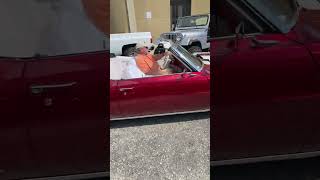 Cruisin the Coast 2024 Gulfport Mississippi subscribe hotrod classiccars [upl. by Larimor274]