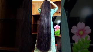 💯Miracle Homemade Herbal Hair Growth Oil  Hair Growth Tips shorts haircare longhairoil viral [upl. by Benildas186]