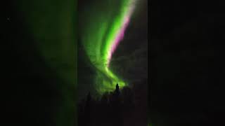 Northern lights in Alaska [upl. by Goeselt]