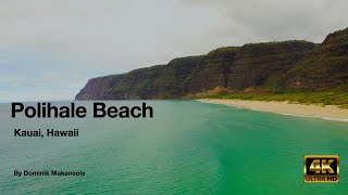 Polihale Beach Kauai Hawaii 2021 [upl. by Gratia95]