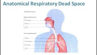 Vapotherm in the NICU  Clinical amp Financial Impact  A Webinar Presented by Dr Mike McQueen [upl. by Tailor752]