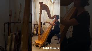 Zo speel je harp  met gevoel  Colet Niedorp aan het opnemen in Studio ORoel II voor Jickeyl [upl. by Elrem]