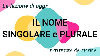 IL NOME SingolarePlurale  Videolezione per la classe PRIMA della scuola primaria [upl. by Onitsuaf]