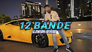 12 BANDE X MRINDIANHACKER ATTITUDE SONGS LYRICS [upl. by Eade]