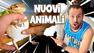 Mi Hanno Regalato degli ANIMALI di Nuovo [upl. by Oironoh]