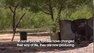 Documentary on Sustainable Development 2013  Full version [upl. by Aicram]