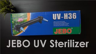 JEBO UV sterilizer reef tank review installation guide [upl. by Euqinomad]