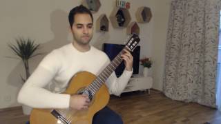 The Fields of Ard Skellig  The Witcher 3 Wild Hunt on Guitar [upl. by Enoed]