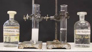 Comparing Strong and Weak Acids GCSE Chemistry [upl. by Karyl]