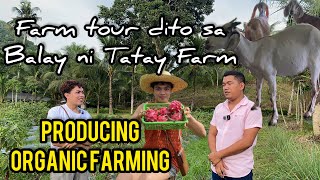 BEST FARM IN LEYTE THAT PRODUCE ORGANIC FARMING VEGETABLEHERBS LIVESTOCKS FARM AND MANY MORE [upl. by Anitsirc]