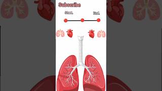 Lungs capacity test  Lungs test  spriometory shorts trending [upl. by Dessma]