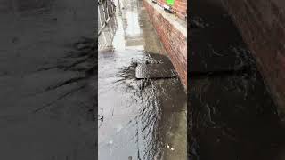 Flooding in Station Road Harpenden [upl. by Emelyne247]