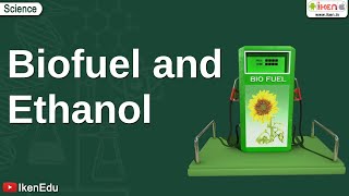 Biofuel and Ethanol  Class 10 Environmental Science  iKen [upl. by Neerhtak88]