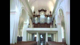 AG Ritter Organ Sonata in D minor L Lohmann [upl. by Teplica]