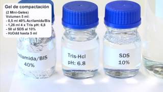 Electroforesis en geles de acrilamida [upl. by Gregg]